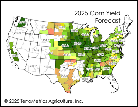 TerraMetrics Agriculture 2025 Corn & Soybean Yield Projections